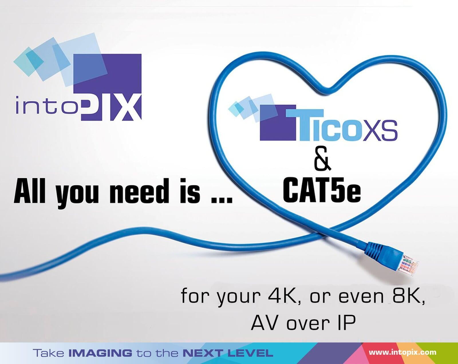CAT5, CAT5e, CAT6, ... What is the best option for you ?